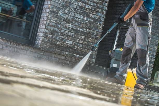 Best Animal Enclosure Cleaning  in Cudjoe Key, FL